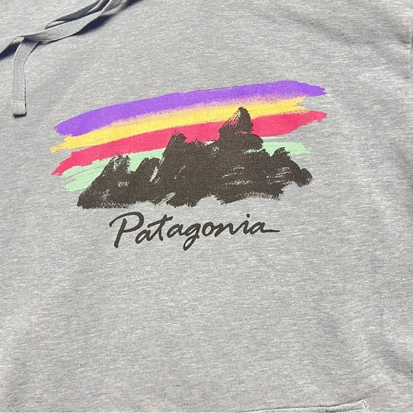 Patagonia Free Hand Fitz Roy Ahnya Hoodie Sweatshirt Size S Gray Blue - Picture 3 of 5